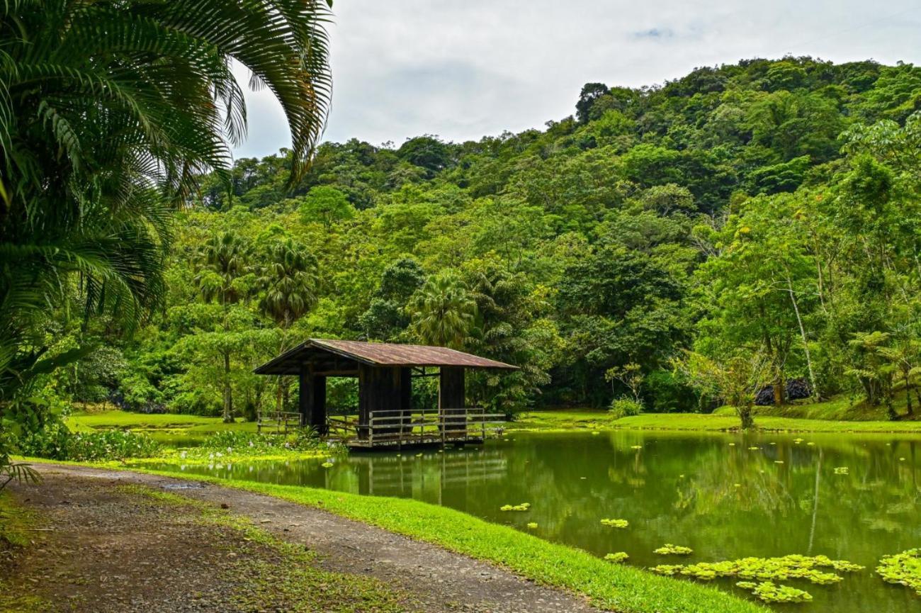 Lands In Love Hotel And Resort Colonia Palmarena Exterior photo